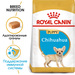 Royal Canin Junior Chihuahua Сухой корм для щенков породы Чихуахуа – интернет-магазин Ле’Муррр