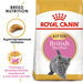 Royal Canin British Shorthair Kitten Сухой корм для котят породы Британской короткошерстной – интернет-магазин Ле’Муррр